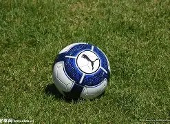 最佳球员榜,约基奇持续,领跑,爱游戏app,爱游戏官网,爱游戏体育官网,爱游戏体育app