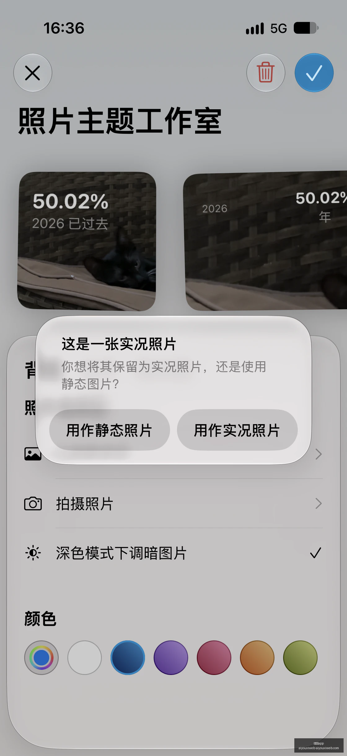 最新华晨宝,纯电新车亮,上市倒计时,爱游戏app,爱游戏官网,爱游戏体育app